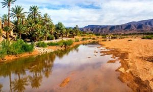 6 Days From Marrakech To Oasis Zagora
